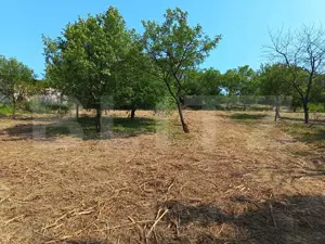 Casa cu 2 camere, 250 mp, zona sud-est - imagine 18