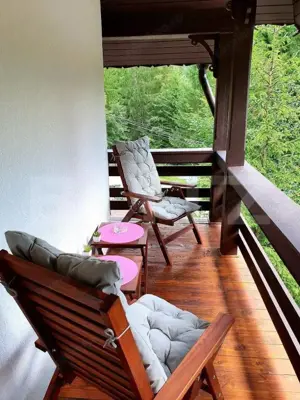 Vila deosebita cu 6 camere, 530mp, Statiunea Sovata - imagine 2