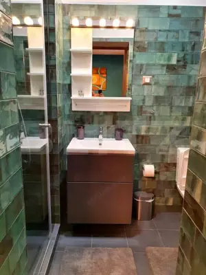 Vila deosebita cu 6 camere, 530mp, Statiunea Sovata - imagine 11