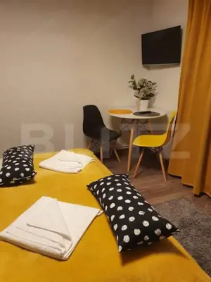 Vila deosebita cu 6 camere, 530mp, Statiunea Sovata - imagine 6