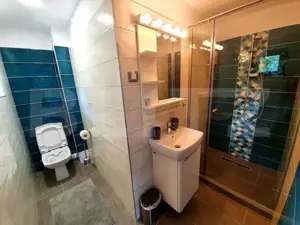 Vila deosebita cu 6 camere, 530mp, Statiunea Sovata - imagine 9