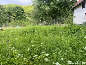 Teren Intravilan Dejani - Sat Vacanta - imagine 7