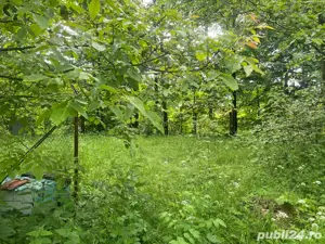 Teren Intravilan Dejani - Sat Vacanta - imagine 3