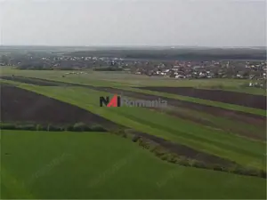 Vanzare Teren Central, Moara Vlasiei