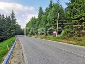 Teren cu puz intravilan in localitatea Paltinis din judetul Sibiu - imagine 8