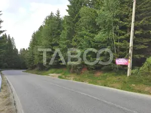 Teren cu puz intravilan in localitatea Paltinis din judetul Sibiu - imagine 4
