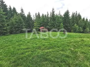 Teren cu puz intravilan in localitatea Paltinis din judetul Sibiu - imagine 3