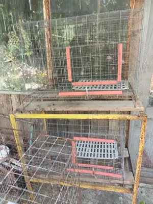 Vand custi din plasa metalica pentru iepuri.