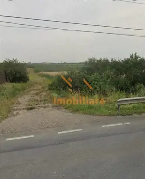 TEREN INTRAVILAN INVESTITIE 20.500 MP ARAD - imagine 3