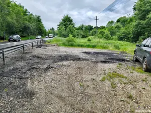 4000 mp teren in zona Fântânița Haiducului,Vestem - imagine 10