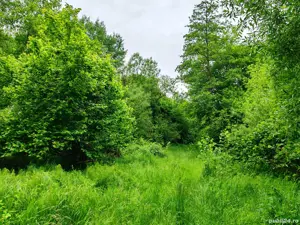 4000 mp teren in zona Fântânița Haiducului,Vestem