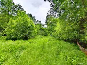 4000 mp teren in zona Fântânița Haiducului,Vestem - imagine 3