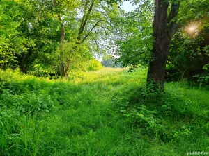 4000 mp teren in zona Fântânița Haiducului,Vestem - imagine 8