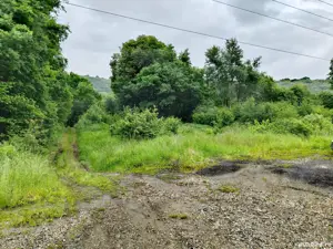 4000 mp teren in zona Fântânița Haiducului,Vestem - imagine 5