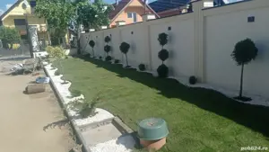 amenajari gradini - imagine 2