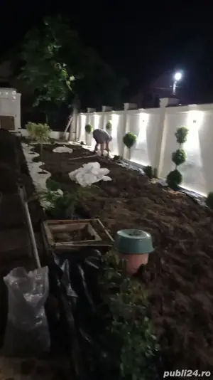 amenajari gradini