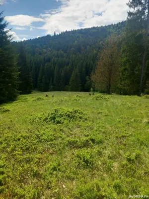 Vând teren - imagine 3