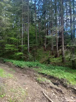 Vând teren - imagine 2