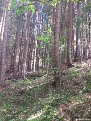 Vând teren - imagine 4