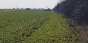 Vindem Teren intravilan   Șoseaua Arad-Timișoara | Destinație industrială   700 metri liniari