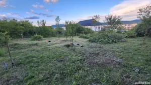 Vand teren de casa 520 mp, Lenin Sud, Troianu, intravilan - imagine 5