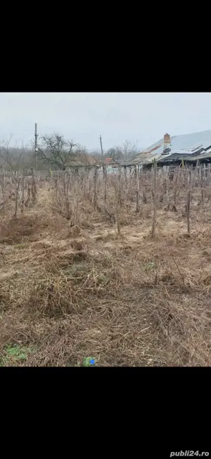 vând casă  - imagine 4 vând casă  - imagine 4