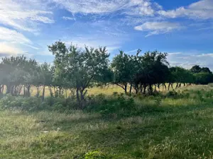 Vand teren intravilan in sat Cerna, comuna Liebling la 30 km de Timisoara