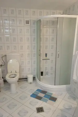 casa Fieni dambovita aproape de padure - imagine 4