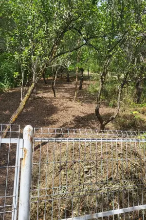 casa Fieni dambovita aproape de padure - imagine 9