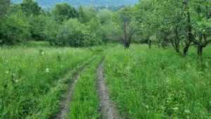 Teren de vanzare - imagine 8