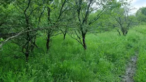 Teren de vanzare - imagine 5