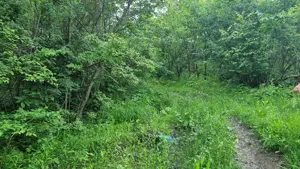 Teren de vanzare - imagine 6