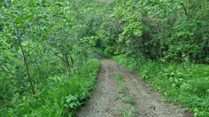 Teren de vanzare - imagine 7