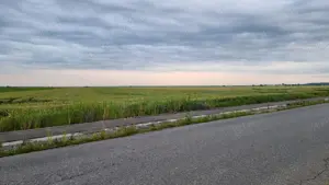 Terenuri de vanzare - imagine 2