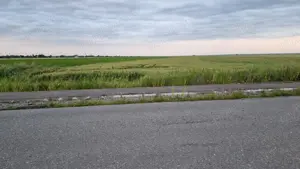 Terenuri de vanzare - imagine 5