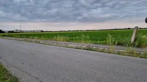 Terenuri de vanzare - imagine 6