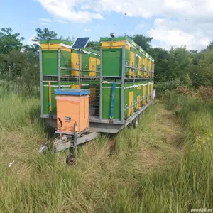 Platforma apicola 3AXE