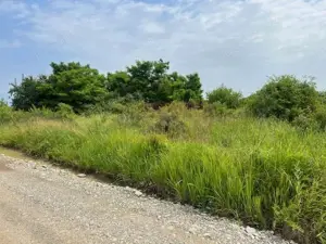 Teren Saftica- strada Albinelor. - imagine 3