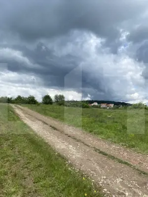 Teren cu potențial – 1000 mp pe Dealul Partizanilor - imagine 4