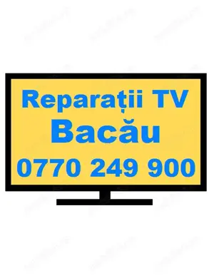 Reparatii TV Bacau Domino Service - imagine 3
