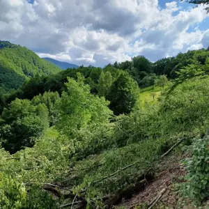 Oportunitate investitie, teren 170000 mp, parcelabil, Tranisu - imagine 2