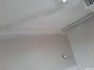 zugrav faiantar - imagine 5