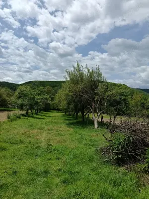 Teren întravilan 1300 m