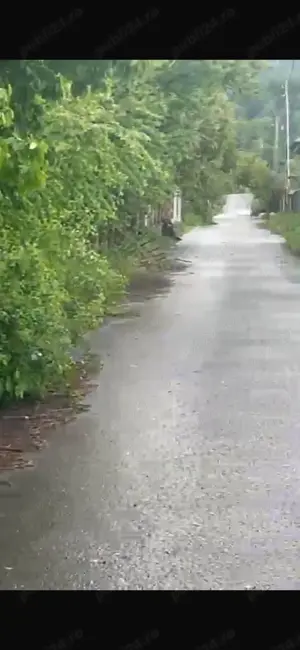 Teren Stejaru - imagine 2