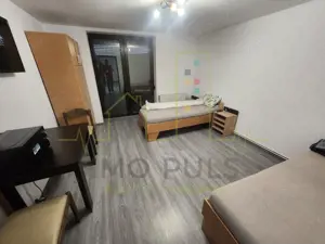 Casa Dumbravita. Teren 1.000 mp. 17 Camere.7 Bai. Pretabil cazare/firma/birouri - imagine 3