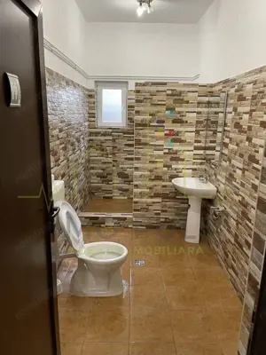 Casa Dumbravita. Teren 1.000 mp. 17 Camere.7 Bai. Pretabil cazare/firma/birouri - imagine 16