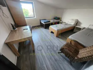 Casa Dumbravita. Teren 1.000 mp. 17 Camere.7 Bai. Pretabil cazare/firma/birouri - imagine 8