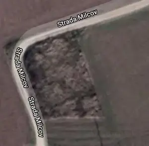 Teren intravilan 1.000 mp Snagov - imagine 4