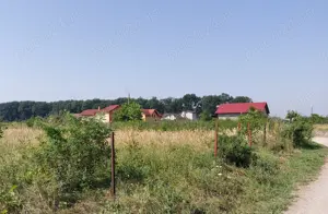 Teren intravilan 1.000 mp Snagov - imagine 6