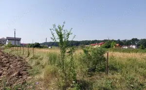 Teren intravilan 1.000 mp Snagov - imagine 7